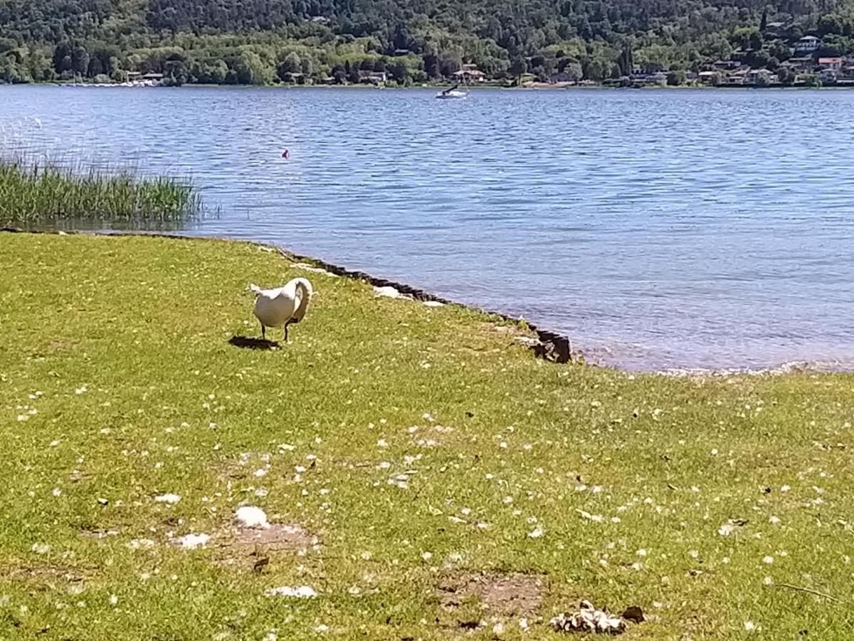 Ritratto Sul Lago Dormelletto Exterior photo
